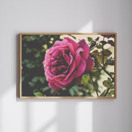 Botanical nature Wall Art Rose Print Poster