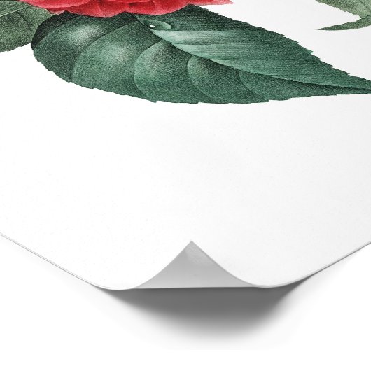 Botanical print of CAMELIA original by Redoute Poster (Ecke)