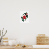 Botanical print of CAMELIA original by Redoute Poster (Küche)