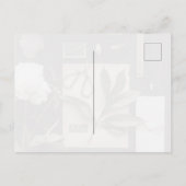 Botanical Science Flat Lay Academia Postkarte (Rückseite)