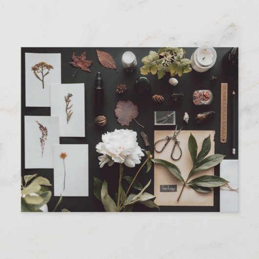 Botanical Science Flat Lay Academia Postkarte (Vorderseite)