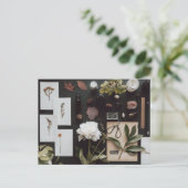 Botanical Science Flat Lay Academia Postkarte (Stehend Vorderseite)