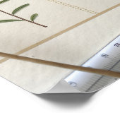 Botanical Scientific Plate Poster (Ecke)