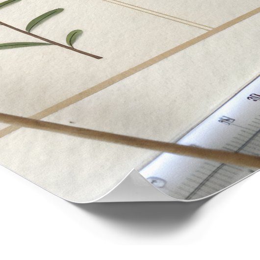 Botanical Scientific Plate Poster (Ecke)