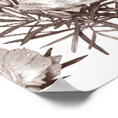 Botanical Study - Desert Wildflowers Poster (Ecke)