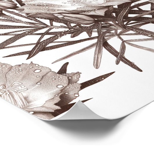 Botanical Study - Desert Wildflowers Poster (Ecke)