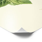 Botanical Vintage Floral Marsh-Mallow Poster (Ecke)