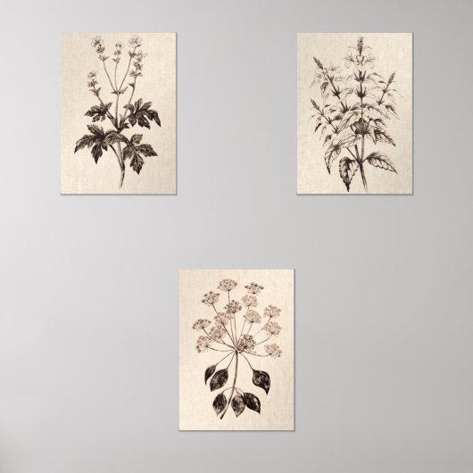 Botanical Wall Art for Living Room Bilderwand Sets (Vorderseite)