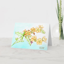 Botanical watercolor wildflower globemallow karte