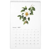 Botanical watercolors calendar Mang Hang Ho, 2026 Kalender (Jan 2027)