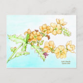 Botanical wildflower watercolor, globemallow postkarte (Vorderseite)