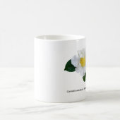 Botanicals - Kamelienblüte Kaffeetasse (Mittel)