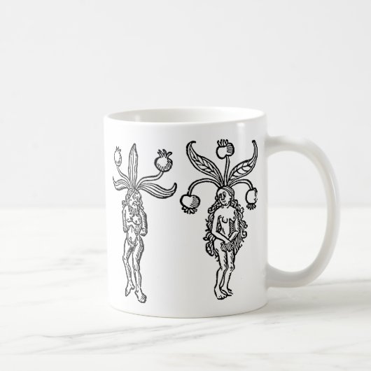 Botanik: Mandrake, 1476 Kaffeetasse (Rechts)