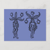 Botanik: Mandrake, 1476 Postkarte (Vorderseite)