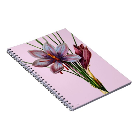 Botanik: Safran Notizblock (Rechte Seite)