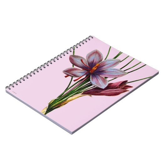 Botanik: Safran Notizblock (Linke Seite)