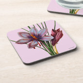 Botanik: Safran Untersetzer (Linke Seite)