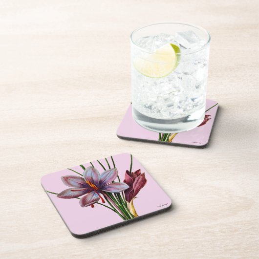 Botanik: Safran Untersetzer (Rechte Seite)