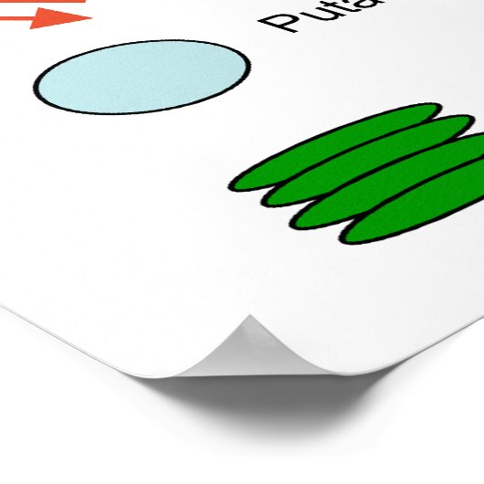 Botanikdiagramm von Magnesium in Pflanze Poster (Ecke)