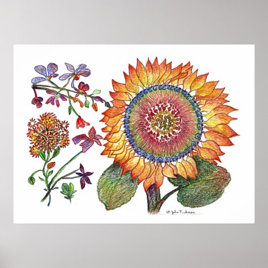 botanisch46 poster (Vorne)