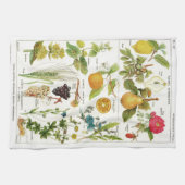 botanisch geschirrtuch (Horizontal)