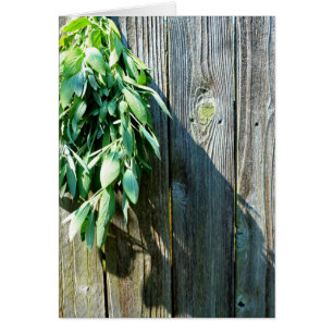 Botanisch grüne Kräuter, die vom Korn des Holzes b