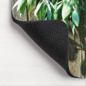 Botanisch grüne Kräuter, die vom Korn des Holzes b Mousepad (Ecke)