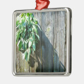 Botanisch grüne Kräuter, die vom Korn des Holzes b Ornament Aus Metall (Links)