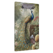 Botanisch: Pfau auf Treppen in einem englischen Ga Klemmbrett (Rechts)