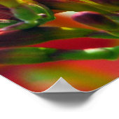 botanisch poster (Ecke)