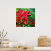 botanisch poster (Küche)