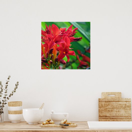 botanisch poster (Küche)