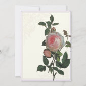 Botanisch-rosa Rose, Lavendelhochzeit Einladung (Rückseite)