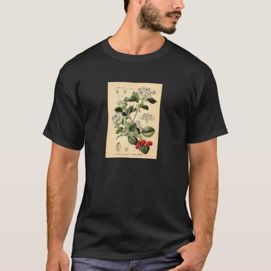 Botanisch - Weißdorn-Crataegus oxyacantha monogyna T-Shirt (Vorderseite)
