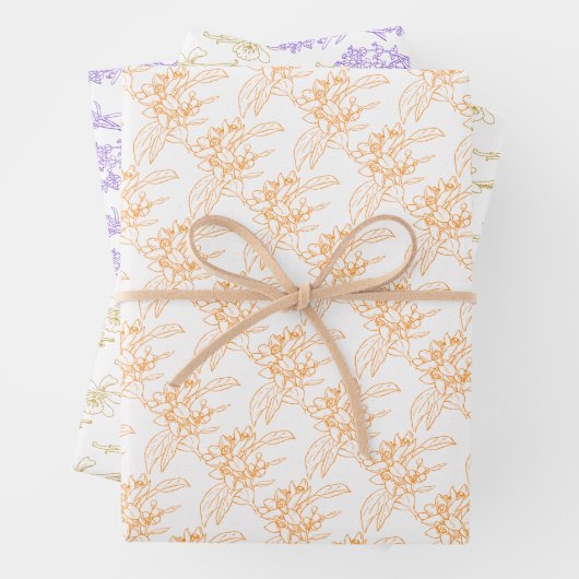 Botanisch zeichnend Vanillevendel Orangenblüte Geschenkpapier Set (Beispiel)