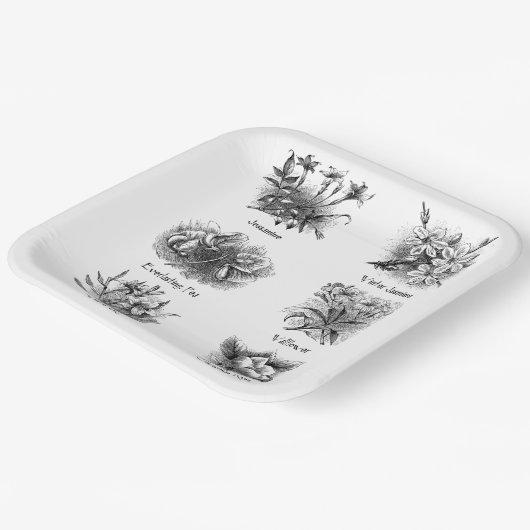 Botanische Abbildungen Pappteller (Gewinkelt)