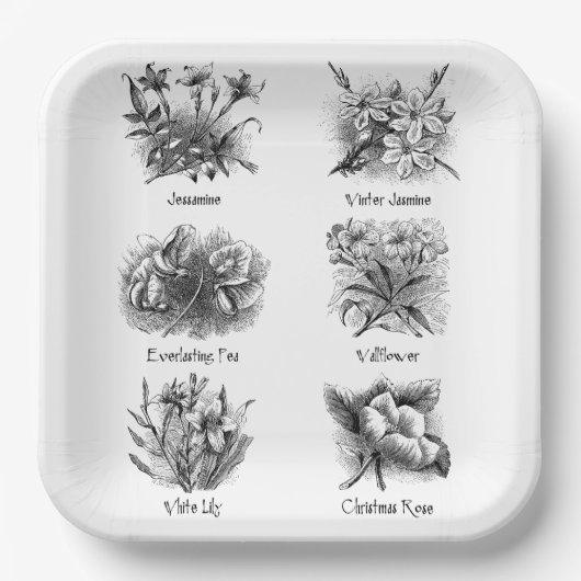 Botanische Abbildungen Pappteller (Vorderseite)