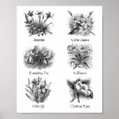 Botanische Abbildungen Poster (Vorne)
