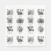 Botanische Abbildungen Serviette (Vorderseite)