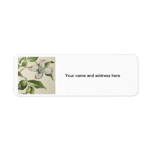 Botanische Adresse lebels