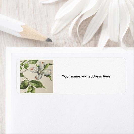 Botanische Adresslibeln (Insitu)