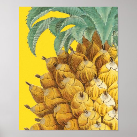Botanische Ananas in Gelb Poster (Vorne)
