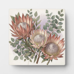 Botanische Anordnung Pink Protea Eukalyptus Fotoplatte