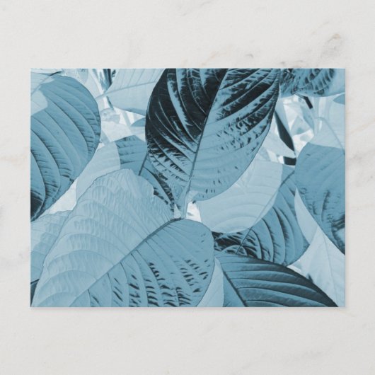 Botanische Aqua-Blätter Postkarte (individuell ein (Vorderseite)