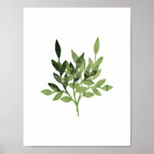 Botanische Aquarelldrucke Poster (Vorne)