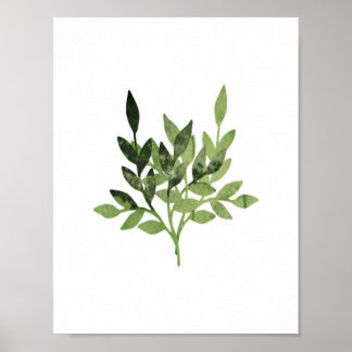 Botanische Aquarelldrucke Poster