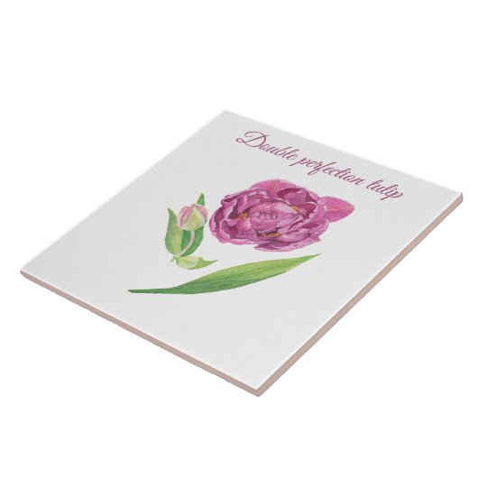 Botanische Aquarellfarbe Fliese (Seite)