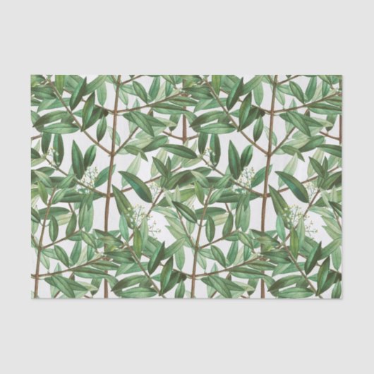 Botanische Aquarellfarbe Seidenpapier (Vorderseite)