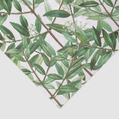 Botanische Aquarellfarbe Seidenpapier (Ausschnitt)