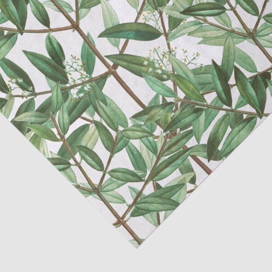 Botanische Aquarellfarbe Seidenpapier (Ausschnitt)